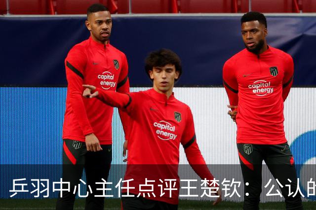 乒羽中心主任点评王楚钦：公认的天才，上限很高，但下限也很低，引发球迷热议