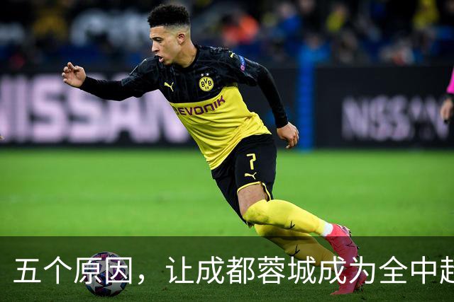五个原因，让成都蓉城成为全中超公敌，球迷不愿看到他们夺冠