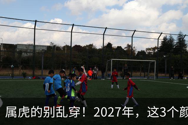 属虎的别乱穿！2027年，这3个颜色最旺你，事业财运感情全解析