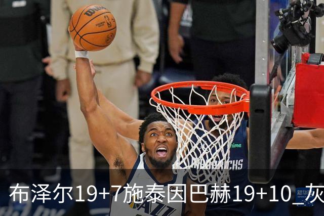 布泽尔19+7施泰因巴赫19+10 灰熊主场大胜黄蜂