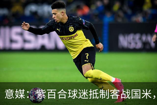 意媒：紫百合球迷抵制客战国米，抗议球票涨价及购票安排不公