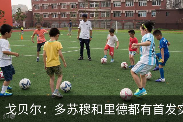 戈贝尔：多苏穆和里德都有首发实力 阵容调整后我的角色变化不大