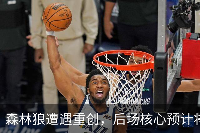 森林狼遭遇重创，后场核心预计将缺席两个月的时间？