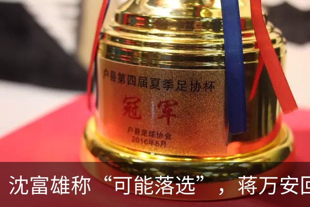 沈富雄称“可能落选”，蒋万安回应亮了，赵少康又瞄准郑丽文？