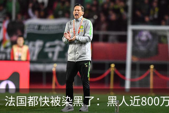 法国都快被染黑了：黑人近800万，巴黎的新生儿，黑皮肤近70%