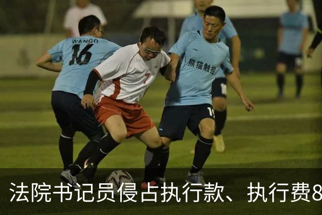 法院书记员侵占执行款、执行费86.3万元获刑，执行局局长及分管副院长因监管不力被党内警告