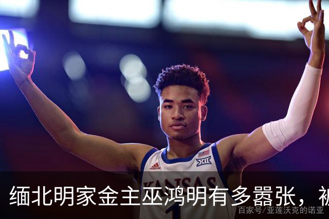 缅北明家金主巫鸿明有多嚣张，被抓后仍狂妄，座右铭更是让人后背发凉
