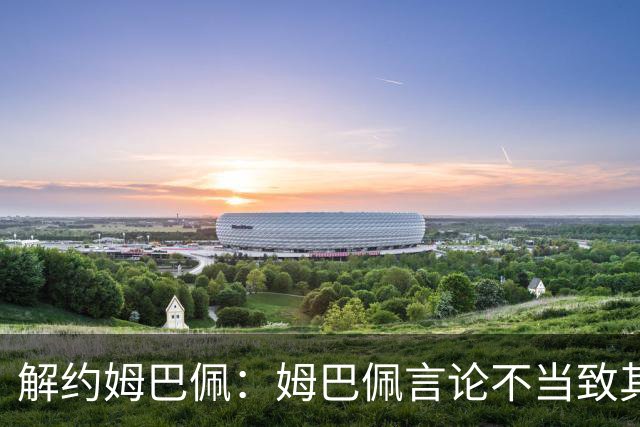 解约姆巴佩：姆巴佩言论不当致其中国市场受影响引热议