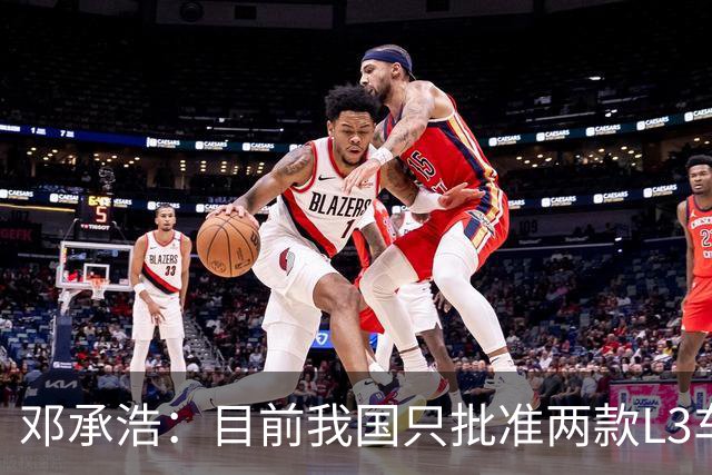 邓承浩：目前我国只批准两款L3车型 很多产品在打擦边球