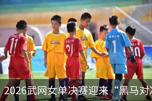 2026武网女单决赛迎来“黑马对决”，斯瓦泰克波兰德比落败，赫瓦林斯卡将与卡塔尔争冠