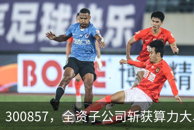 300857，全资子公司斩获算力大单